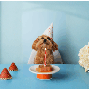 Carte cadeau Woofl'and