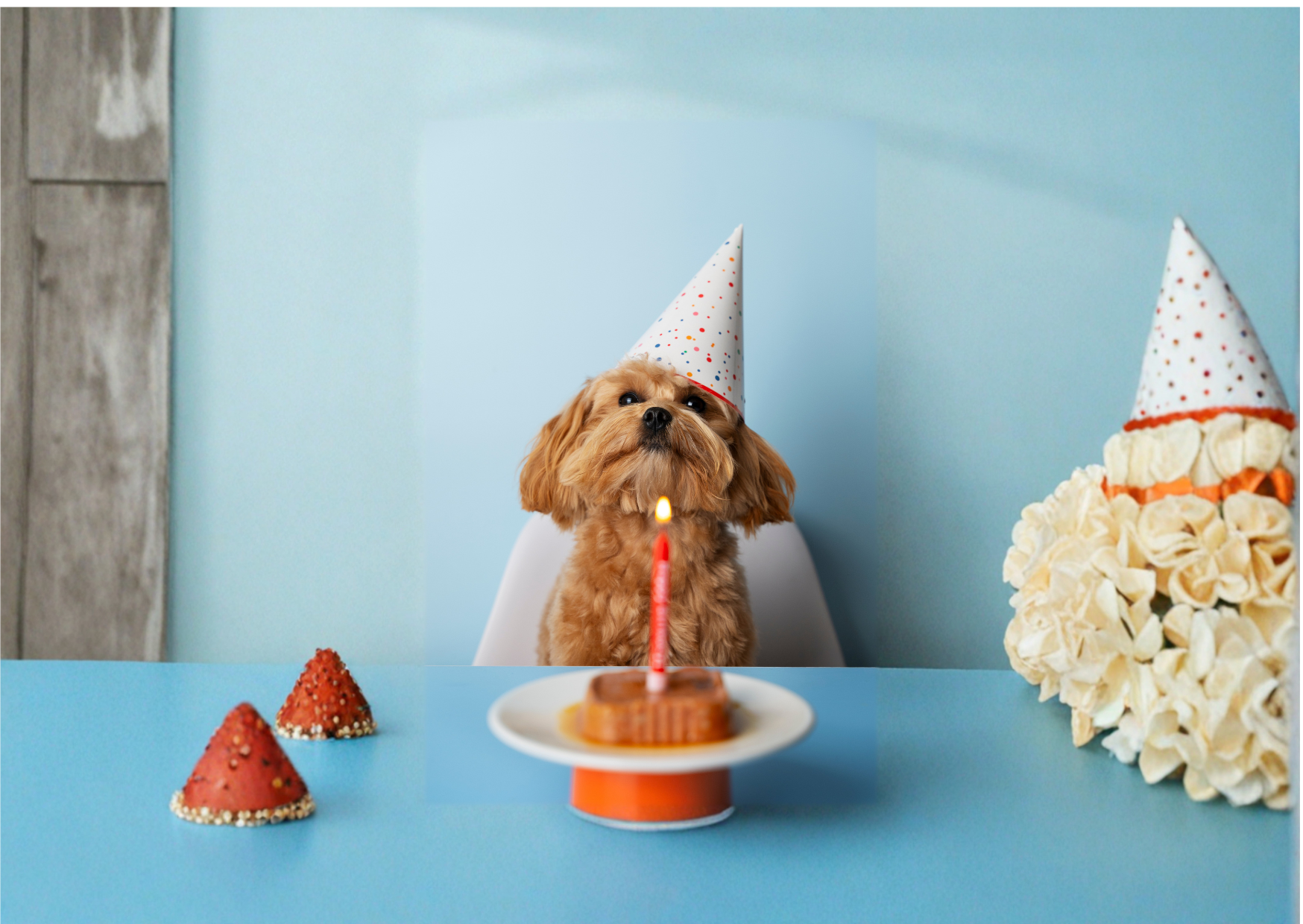 Carte cadeau Woofl'and